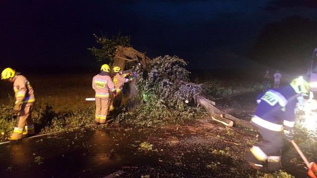 Skutki burzy w Radomsku i powiecie. Wiatr łamał drzewa, zrywał dachy i linie, piorun uderzył w dom