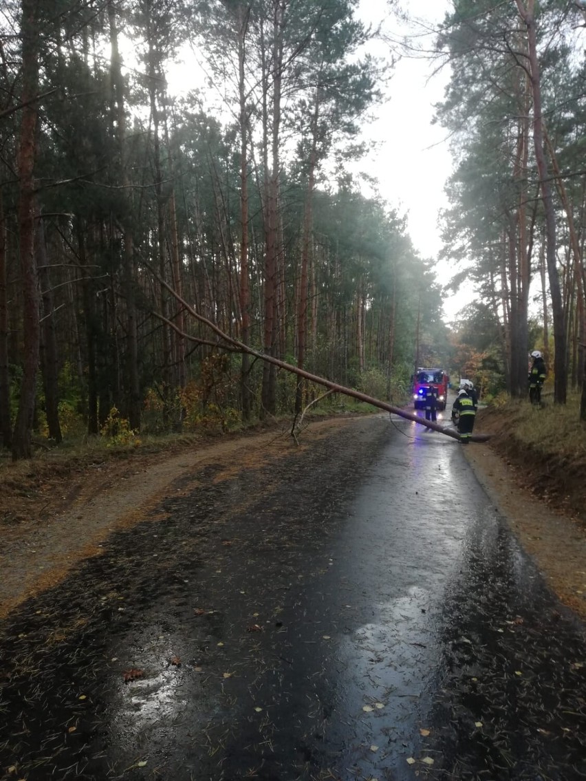 Strażacy z powiatu żnińskiego wiele razy wyjeżdżali z powodu...