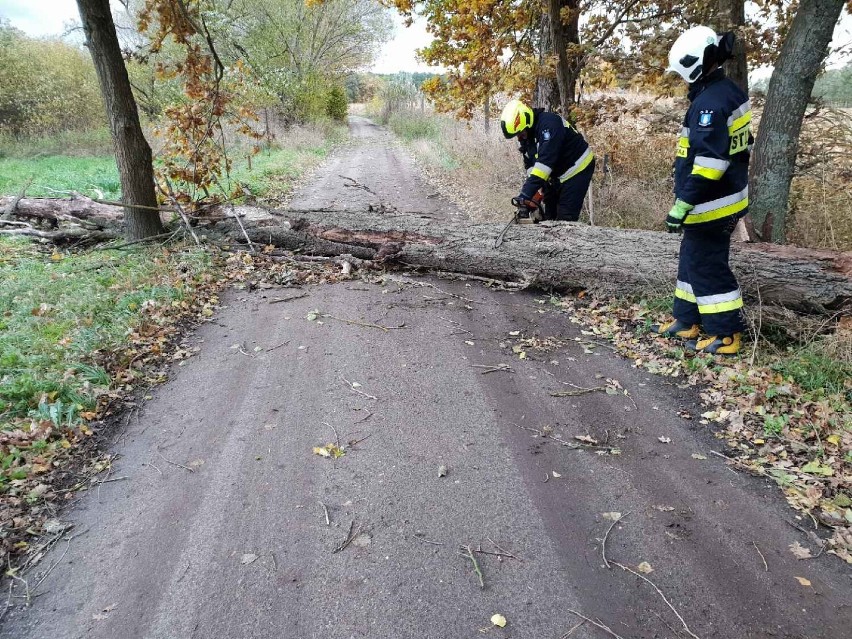 Strażacy z powiatu żnińskiego wiele razy wyjeżdżali z powodu...