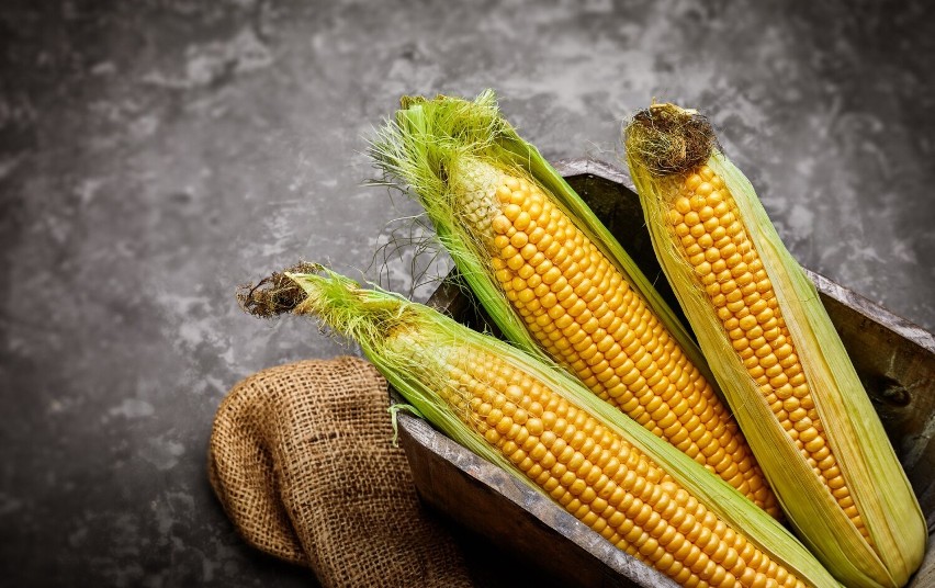 Kukurydza w kolbach to pyszny sezonowy przysmak i produkt,...
