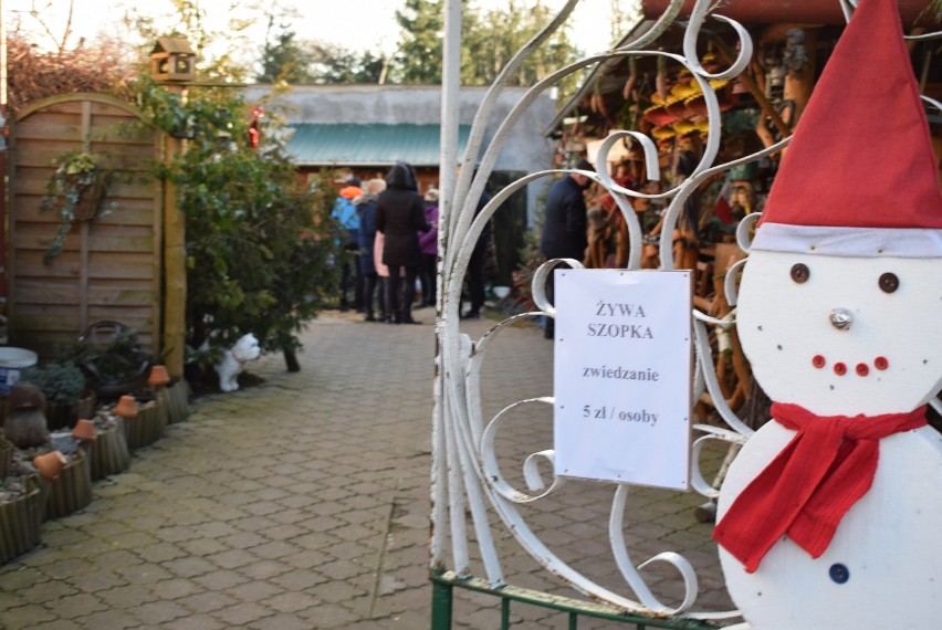 Pawłowo koło Czerniejewa. Największa żywa szopka w Polsce wzbudza podziw zwiedzających [FOTO]