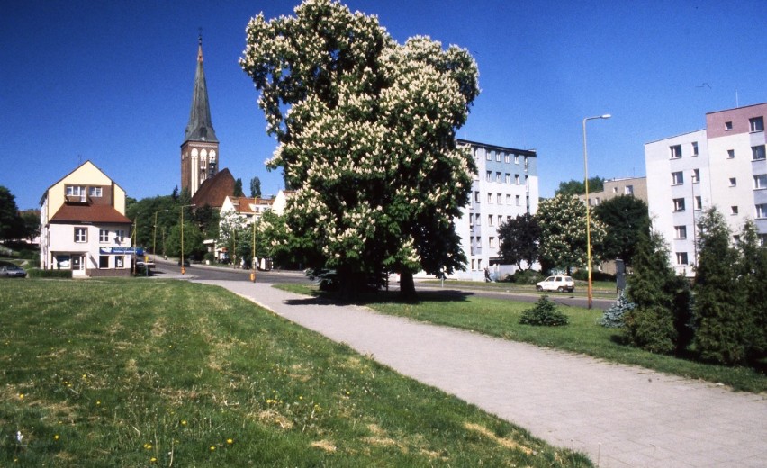 Stare Miasto w Stargardzie na zdjęciach sprzed lat