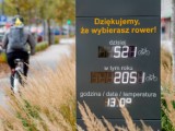 Najpopularniejsze ścieżki rowerowe w Warszawie - liczniki rejestrują każdy przejazd