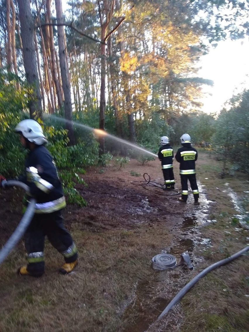 Pracowita niedziela dla strażaków z OSP Chrząstowo