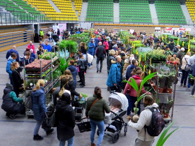 Impreza pod nazwą „Festiwal Roślin”, odbywa się w mieście po raz pierwszy, choć podobne inicjatywy już miały wcześniej miejsce pod innymi nazwami i w innych lokalizacjach (np. w Zielonej Górze-Drzonkowie). Zielone party odbywa się w całej Polsce i na przykład w tym samym co u nas terminie, jest także w Bielsku-Białej.