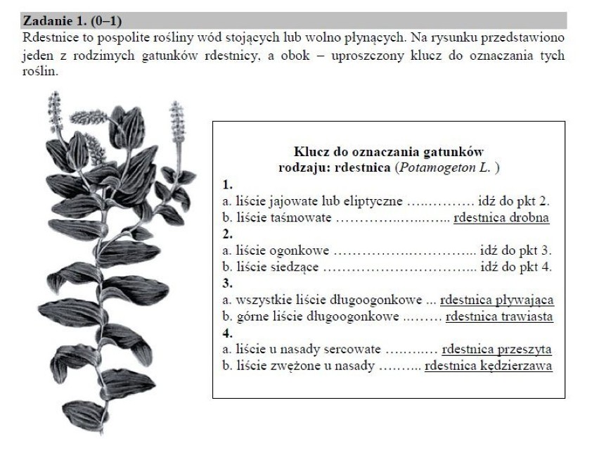 EGZAMIN GIMNAZJALNY 2018. Część przyrodnicza arkusze CKE i odpowiedzi. Biologia, chemia, fizyka, geografia 19.04.2018