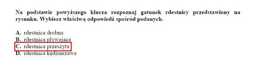 EGZAMIN GIMNAZJALNY 2018. Część przyrodnicza arkusze CKE i odpowiedzi. Biologia, chemia, fizyka, geografia 19.04.2018