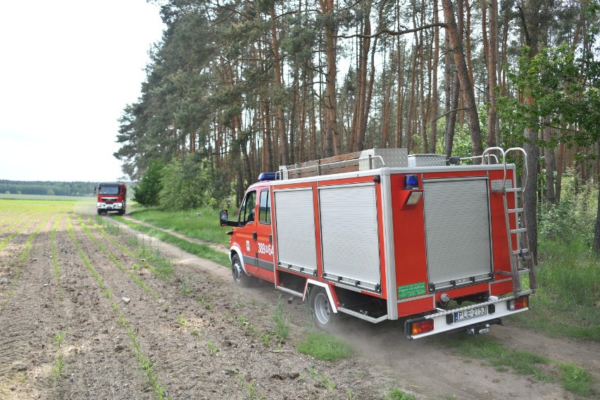 Trzy pożary pod Dąbczem w ciągu kilku dni. Policję zainteresował nastoletni świadek