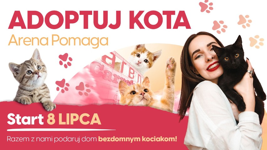 Park Handlowy Arena Gliwice organizuje akcję "Adoptuj kota"