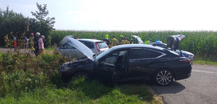 Gm. Nowy Staw. Wypadek na skrzyżowaniu w Trępnowach. W zderzeniu dwóch aut ucierpiała jedna osoba