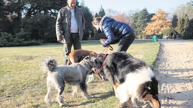 Od stycznia przyjemność posiadania dwóch psów może kosztować łodzian 100 zł