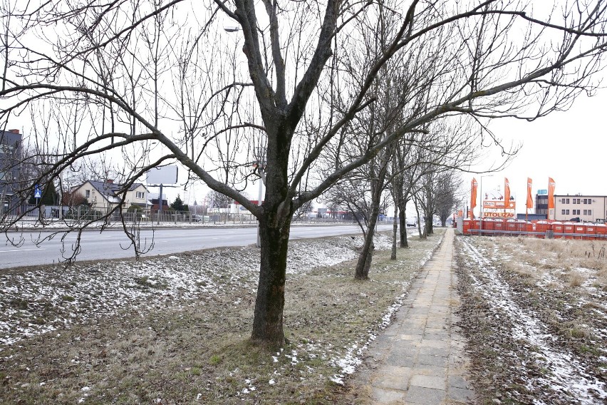 Druga linia metra. Tu na razie jest ściernisko, ale za kilka lat będzie jeździć metro i wyrosną osiedla. Jak dziś wygląda Karolin?