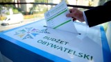 Mieszkańcy Woźnik wybrali projekty do Budżetu Obywatelskiego 2020