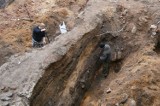 Archeolodzy odkopali skarb i starą osadę?