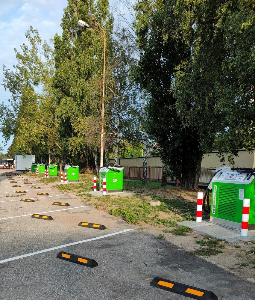 Kursują już pierwsze elektrobusy w Szczecinie. Jak radzą sobie na szczecińskich trasach?