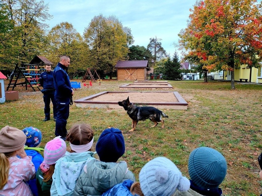 Policjanci z Tucholi i ich psy w przedszkolu w Śliwicach