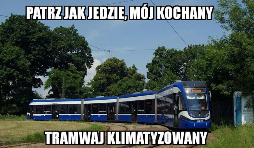 "Jedzie mój kochany, tramwaj klimatyzowany" czyli memy o MPK Kraków [ZDJĘCIA]