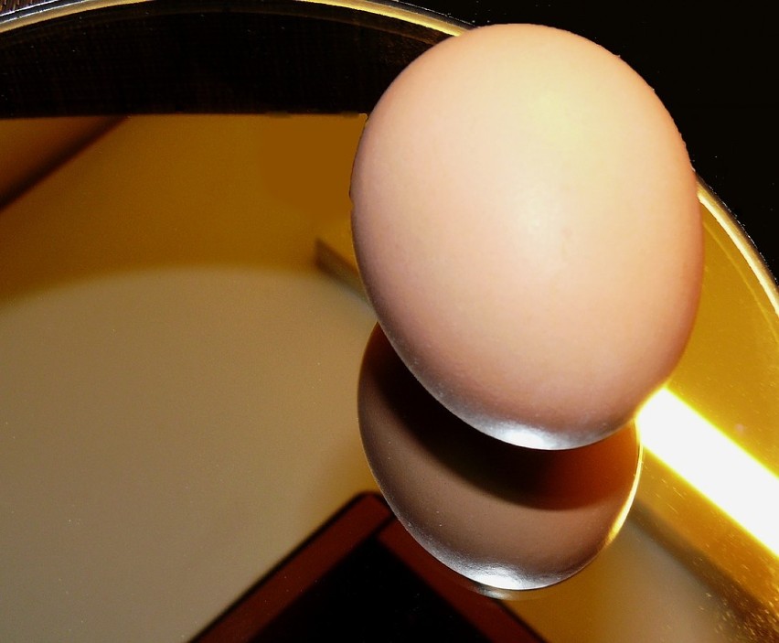 Jajka z salmonellą w popularnym dyskoncie. Sklep odpowiada