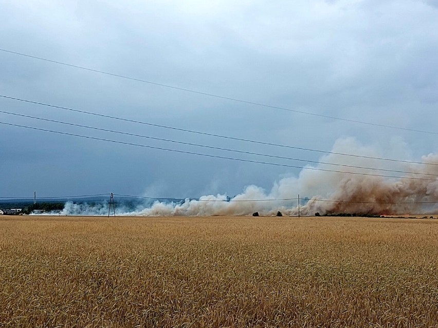 Ogromny pożar w Sycowie. Ogień strawił 27 hektarów zboża i ścierniska