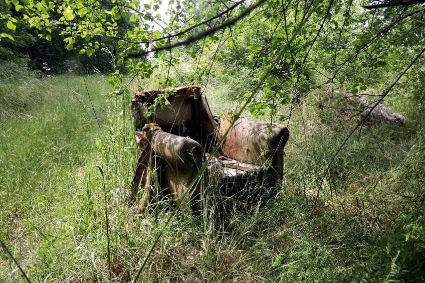 Fajne miejsce na spacer w Legnicy. Niestety śmieci w tym przeszkadzają, zobaczcie zdjęcia