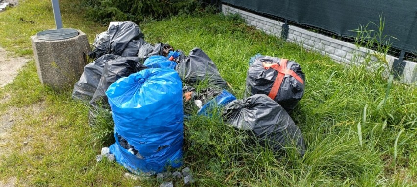 Zamiast do śmietnika odpady trafiły na przystanek MZK Wejherowo. Straż Miejska: "Gdy głupota weźmie górę nad zwykłym rozsądkiem"