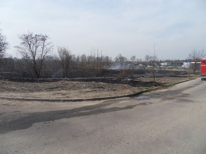 Pożar w sosnowieckiej dzielnicy Zagórze, przy ulicy Długosza i DK 94