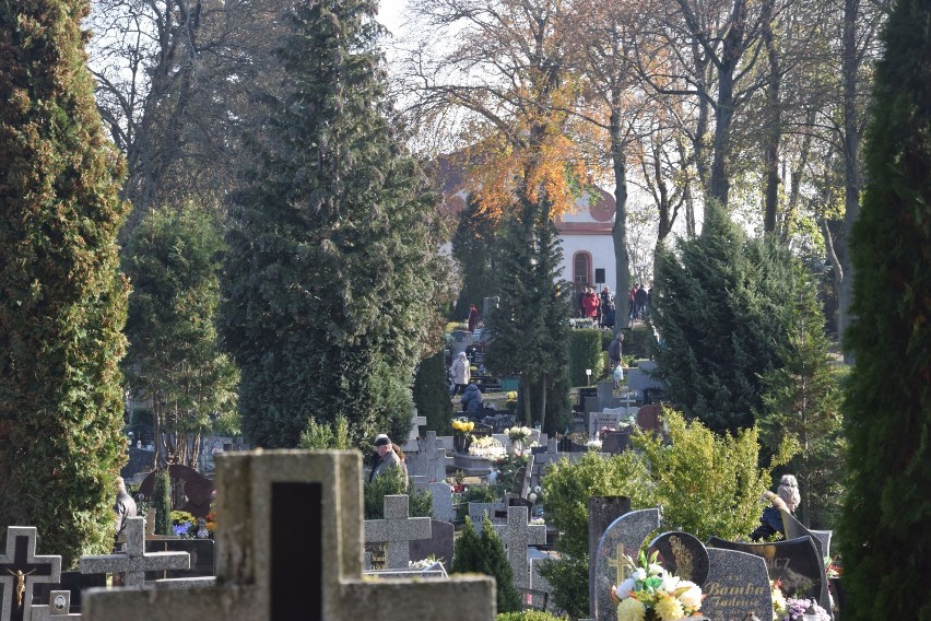 Dane na temat śmiertelności w Szczecinku w czasie epidemii [zdjęcia]