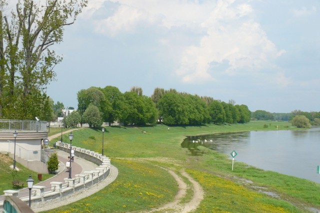 Zapraszam na majowy spacer po moim mieście. Zaczynamy go nad Odrą, bo ona miała i ma dla miasta bardzo duże znaczenie. Fot. Jolanta Paczkowska