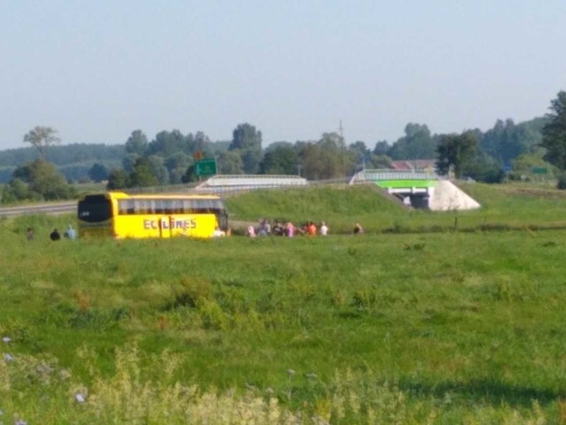 Wypadek autobusu. Autokar Ecolines wjechał na łąkę