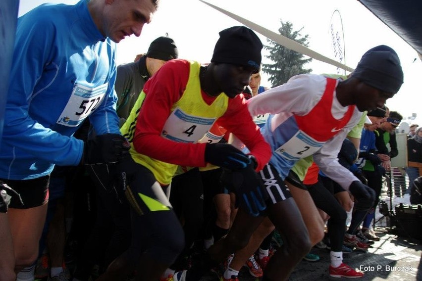 Półmaraton Żywiecki: Kenijczycy zdominowali imprezę [OBEJRZYJ ZDJĘCIA]