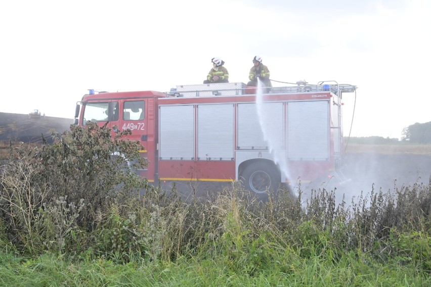 Około 6 hektarów zboża spłonęło pod Radzyniem Chełmińskim