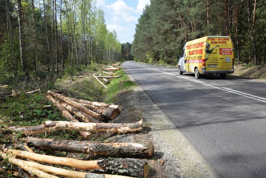 Wycinka drzew przy DW790. Z jakiego powodu? ZDJĘCIA