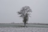 Śnieżna środa w Kraśniku i okolicach (zdjęcia)