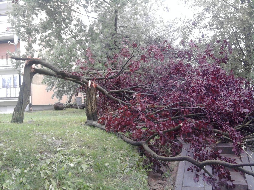 Sierpniowa burza w Gnieźnie. Tak wyglądało miasto [Zdjęcia]