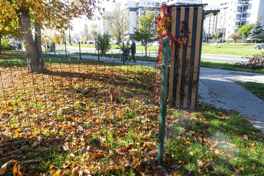 Na os. Albertyńskim w Krakowie wygrodzono kawałek trawnika koło bloku. Co było powodem?