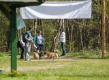 Aktywnie, w terenie i z przyjacielem – wiosenny dogtrekking w Łowiczu