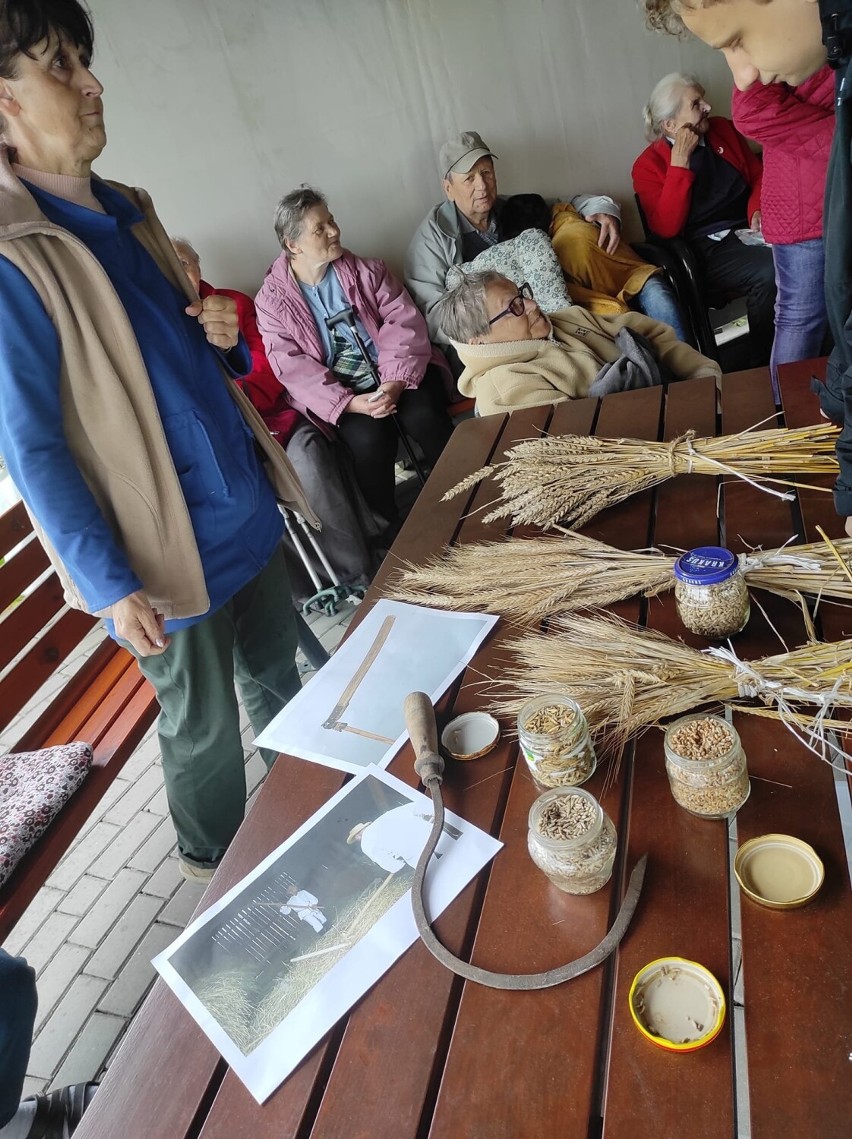 Warsztaty pieczenia chleba w Domu Seniora w Wieluniu