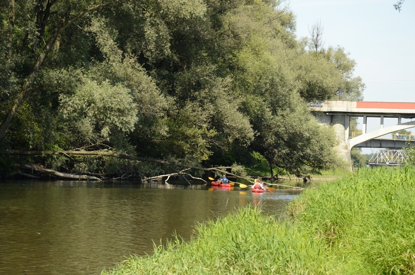 Kajaki, leżaki, plażowanie nad Sołą w Oświęcimiu, 2 sierpnia...