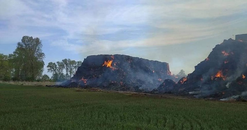 Groźny pożar dwóch stert słomy w Rakowie. Udział wzięło 14 jednostek straży pożarnej