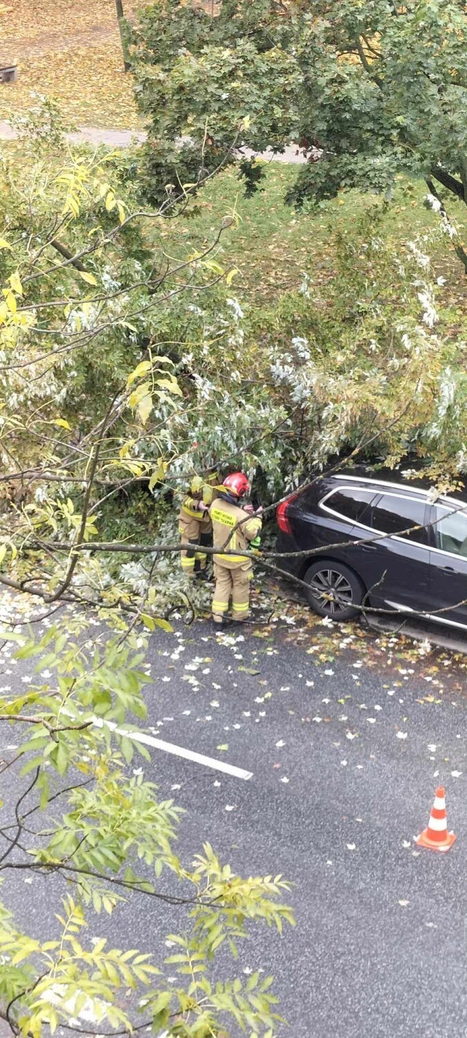 Drzewo runęło na samochód osobowy. Na miejscu pracują...