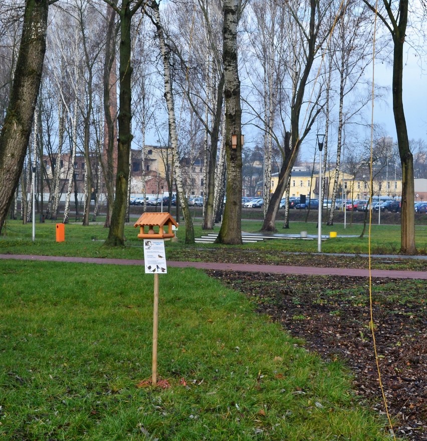 Karmniki dla ptaków pojawiły się w parkach w Tomaszowie Maz. Jak poprawnie dokarmiać ptaki? [ZDJĘCIA]