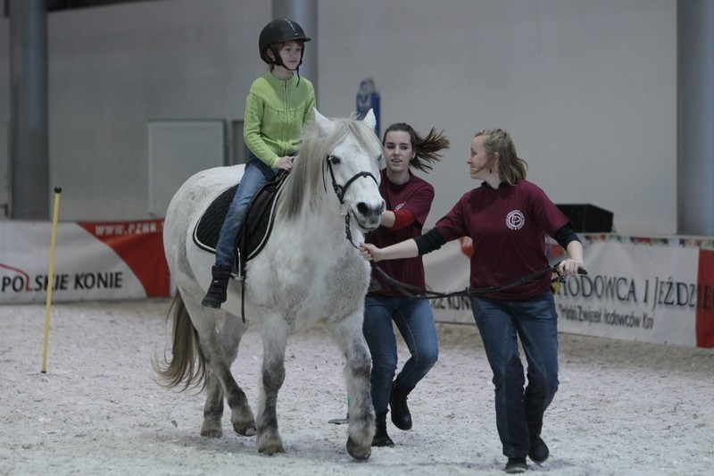 Cavaliada Poznań 2013 - Blok rozrywkowy dla dzieci Fundacji...