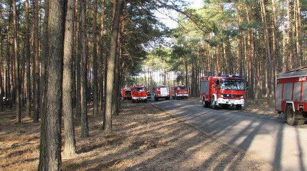 Pleszewscy strażacy walczyli z groźnym pożarem.