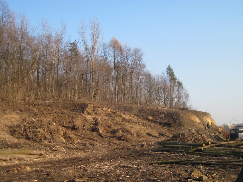 Skrzyżowanie Ducha i Solidarności w Lublinie. Drzewa wycięto, ale będą nowe nasadzenia