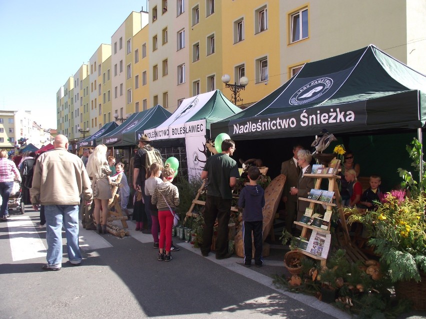 Dolnośląski Festiwal Dary Lasu w Lwówku Śląskim