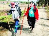 Wrocławianie idą pieszo na beatyfikację