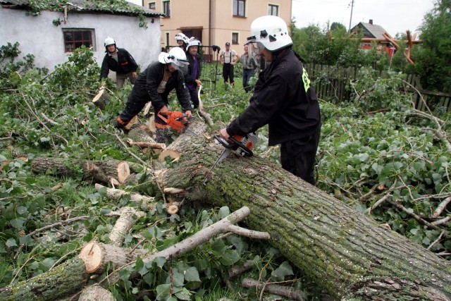 Strażacy z Biłgoraja trzy razy wyjeżdżali do powalonych drzew