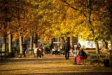 Tutaj jesień wygląda najpiękniej! Magiczne trasy spacerowe w Warszawie. Romantyczne skwery i urokliwe uliczki