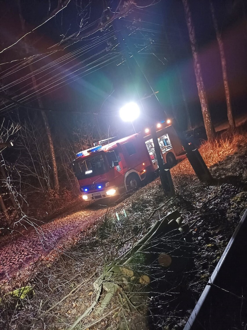 Strażacy z MOSP Prabuty usuwali m.in. drzewo blokujące drogę...
