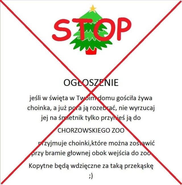 Nie przynoście żywych choinek do Śląskiego Ogródu Zoologiczego